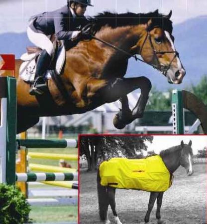 Equine infrared therapy blankets and infrared systems