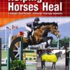 Helping Horses Heal