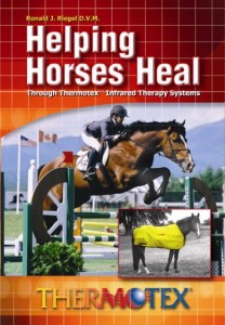 Helping Horses Heal