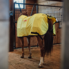 Thermotex Horse Blanket Rear View