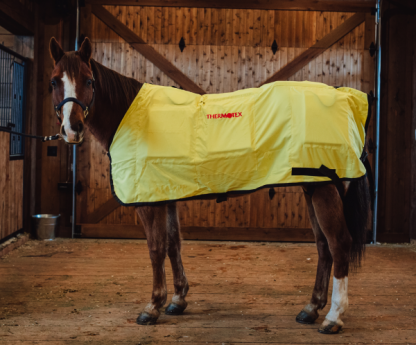 Thermotex Infrared Horse Blanket Side View with 12 Heating Pads