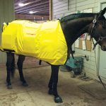 Demonstrating infrared horse blanket from Thermotex