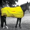 12 pad Thermotex infrared horse blanket