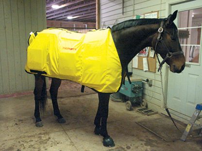 Demonstrating infrared horse blanket from Thermotex