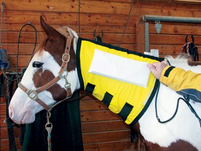 Thermotex Infrared Neck Equine Therapy