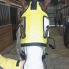 Thermotex Therapeutic Horse Hood with Far Infrared Heat