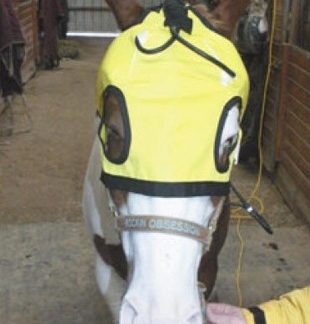 Thermotex Infrared Heat Therapeutic TMJ Horse Hood