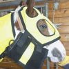Thermotex Therapeutic Horse Hood - Image 2